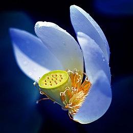 要来了！《堕落之主2》确认将在科隆游戏展开幕夜揭晓